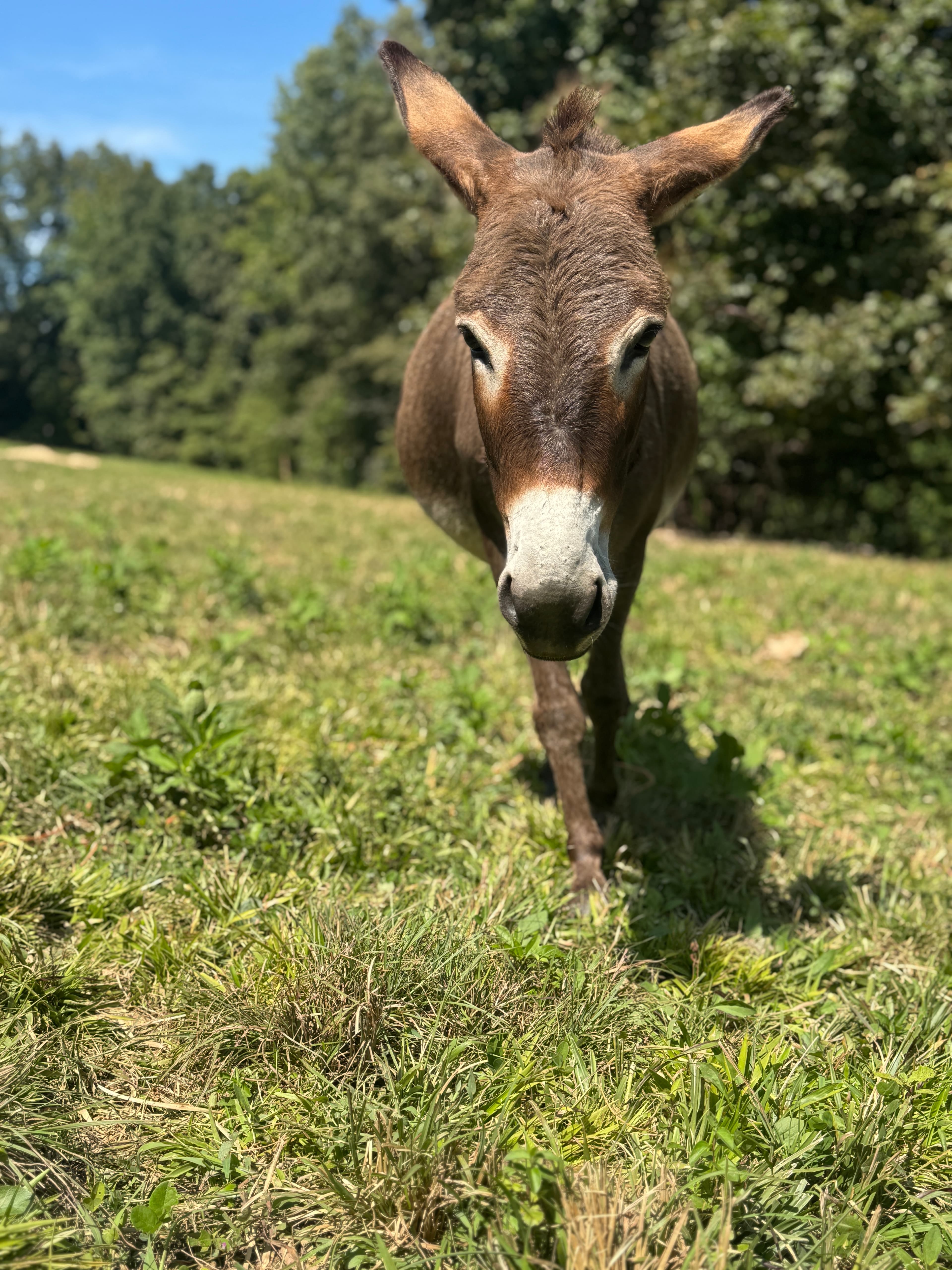 Photo of Beautiful Mom