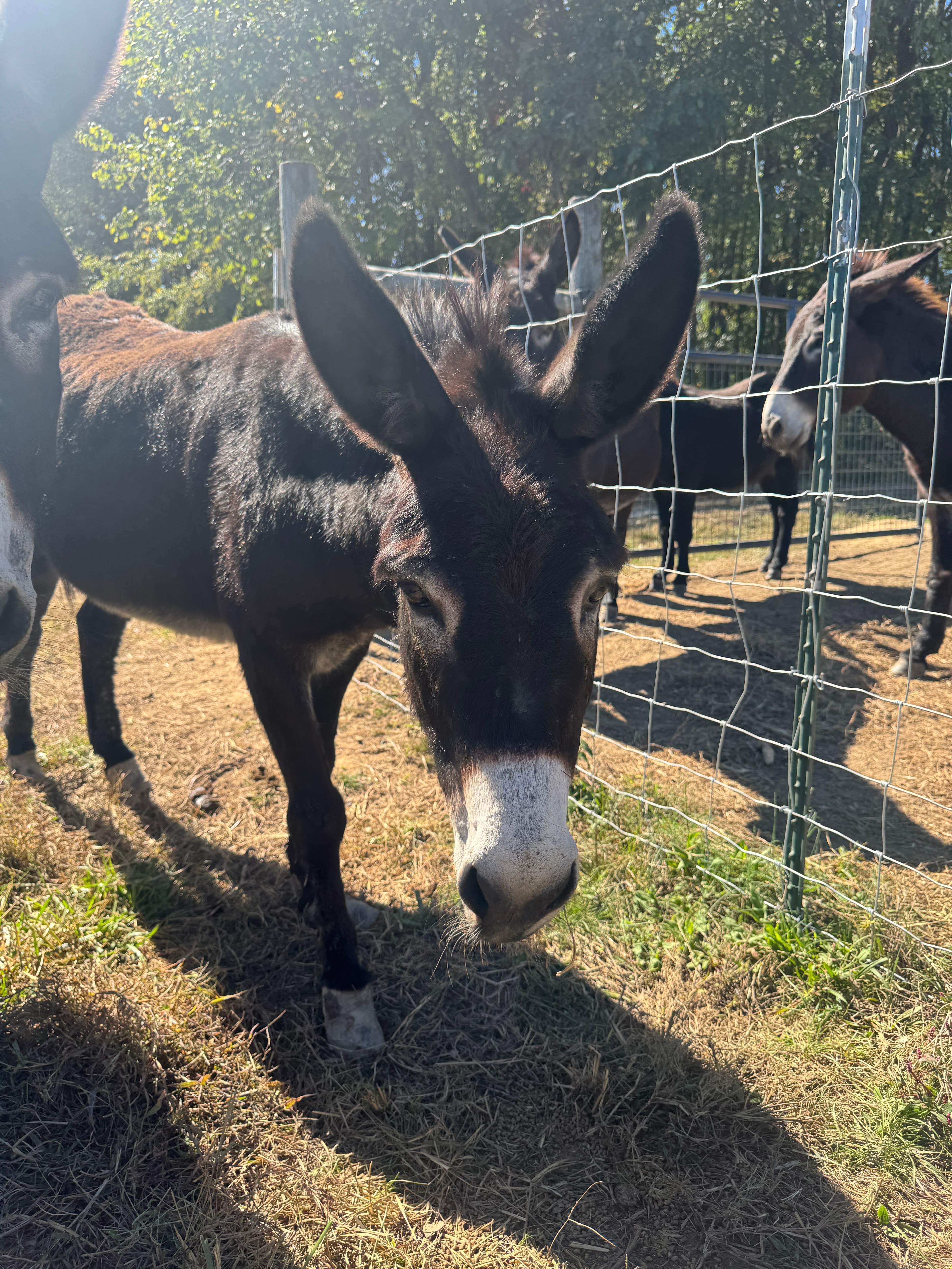 Photo of One of Georgia 8