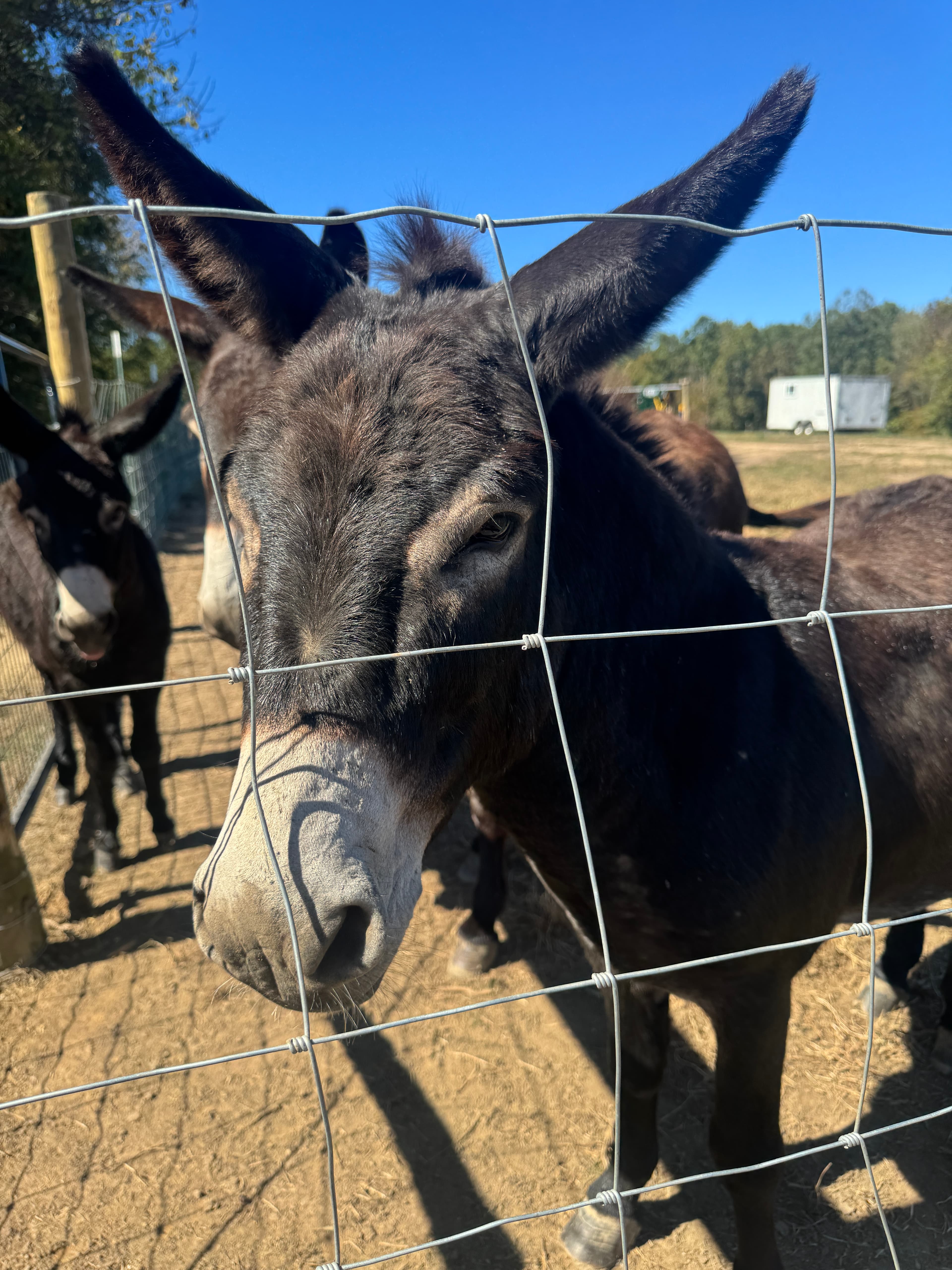 Photo of One of the GA 8