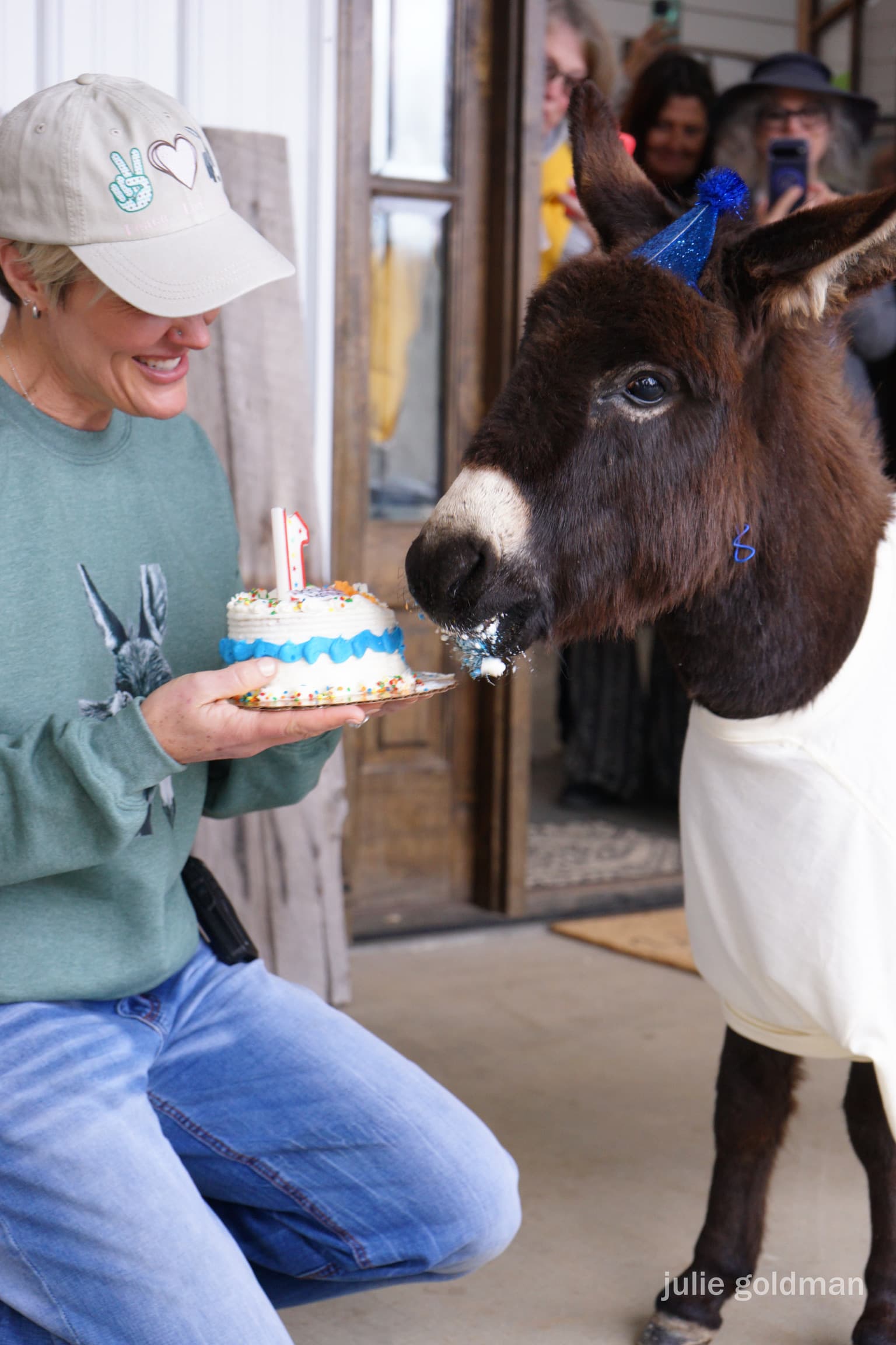 A birthday cake with lit candles held up to a donkey while people look on