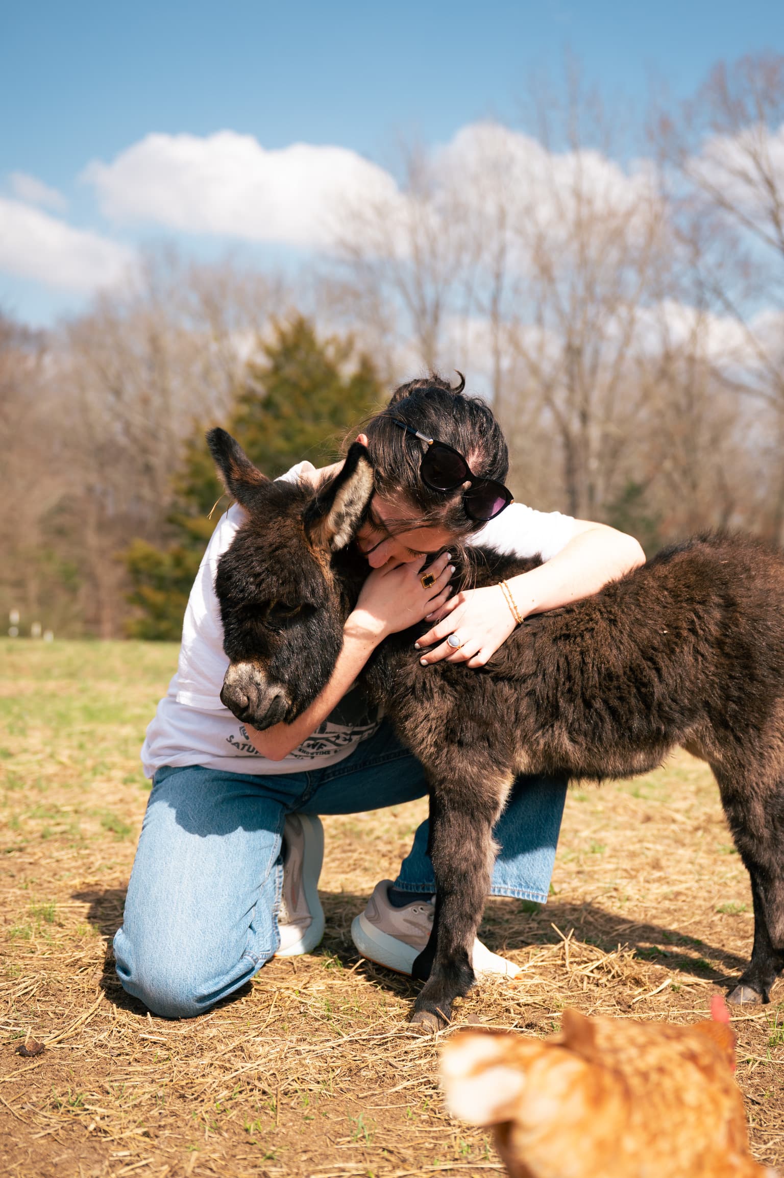 Someone kneeling in the grass with both arms around a donkey