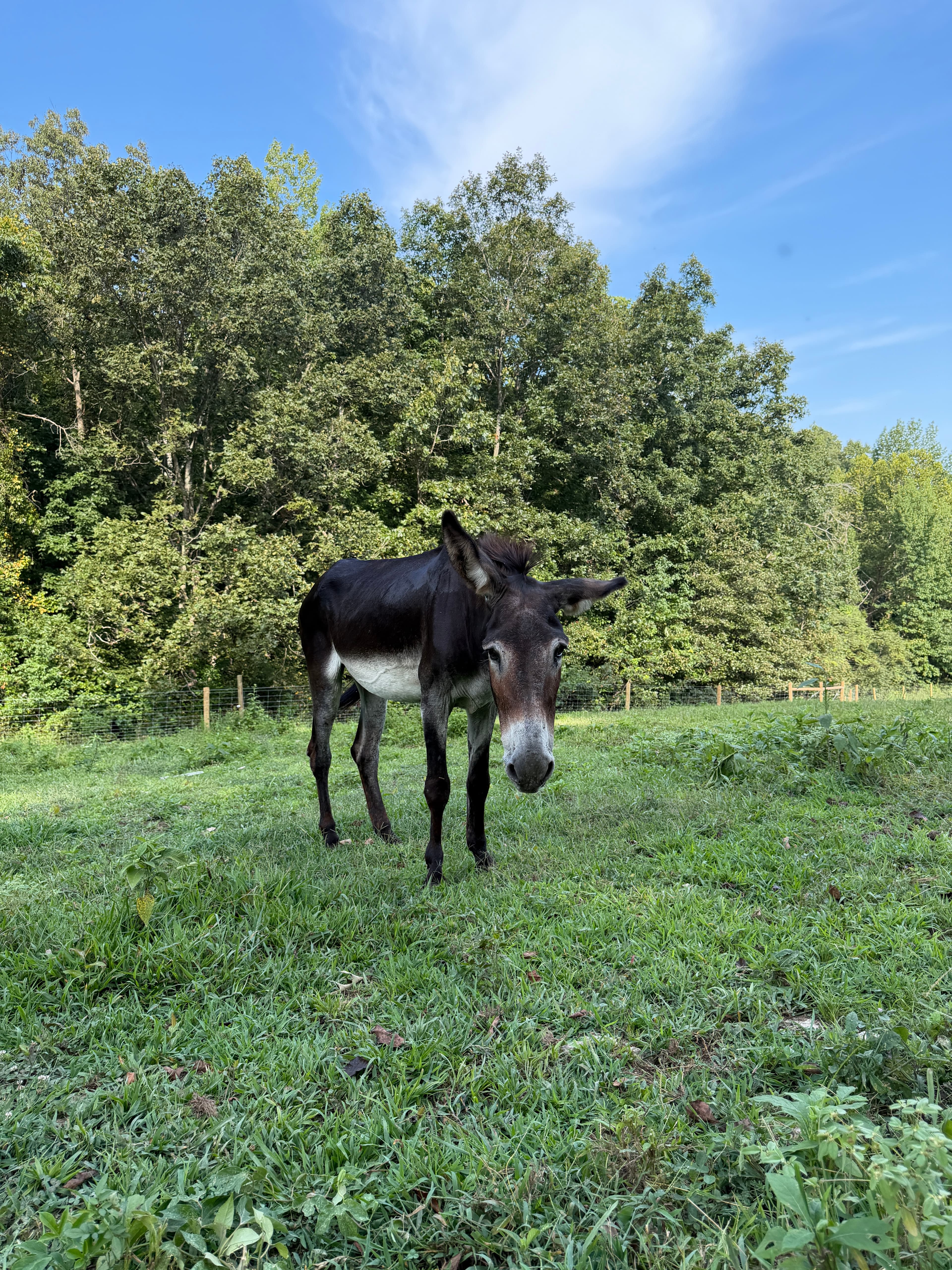 Waylon at Cash's Crew Rescue