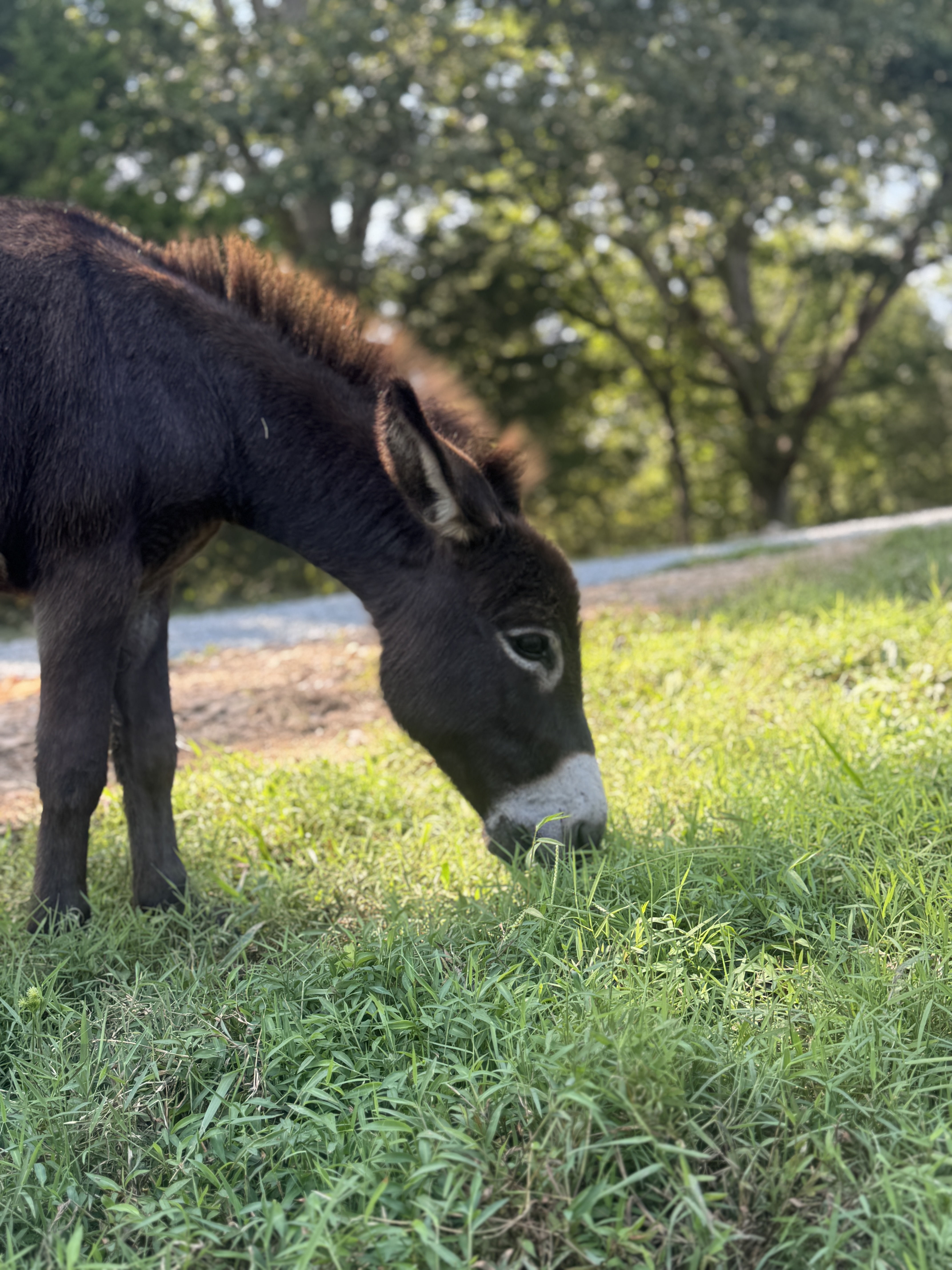 Photo of Cash