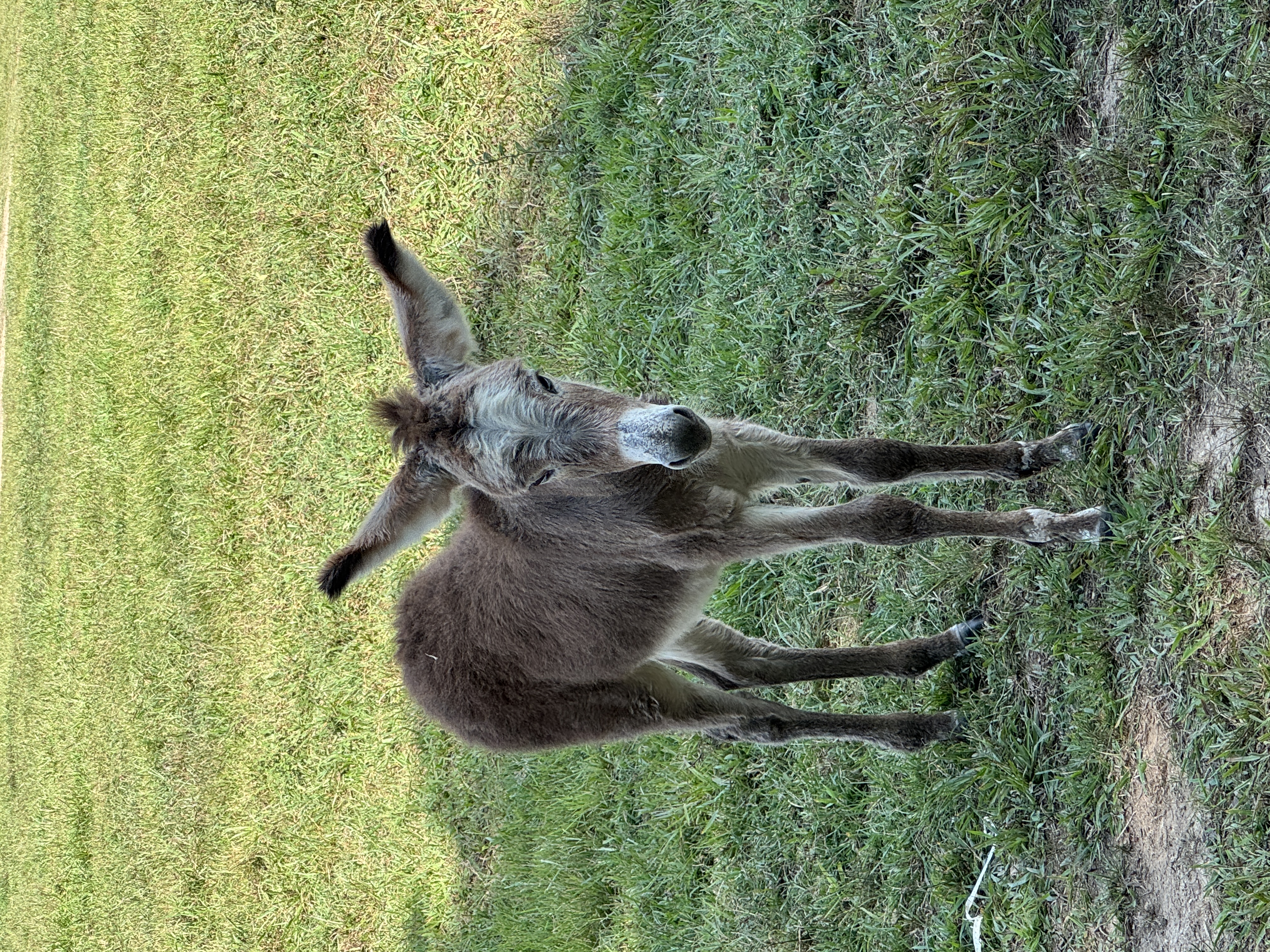 Photo of Esperenza