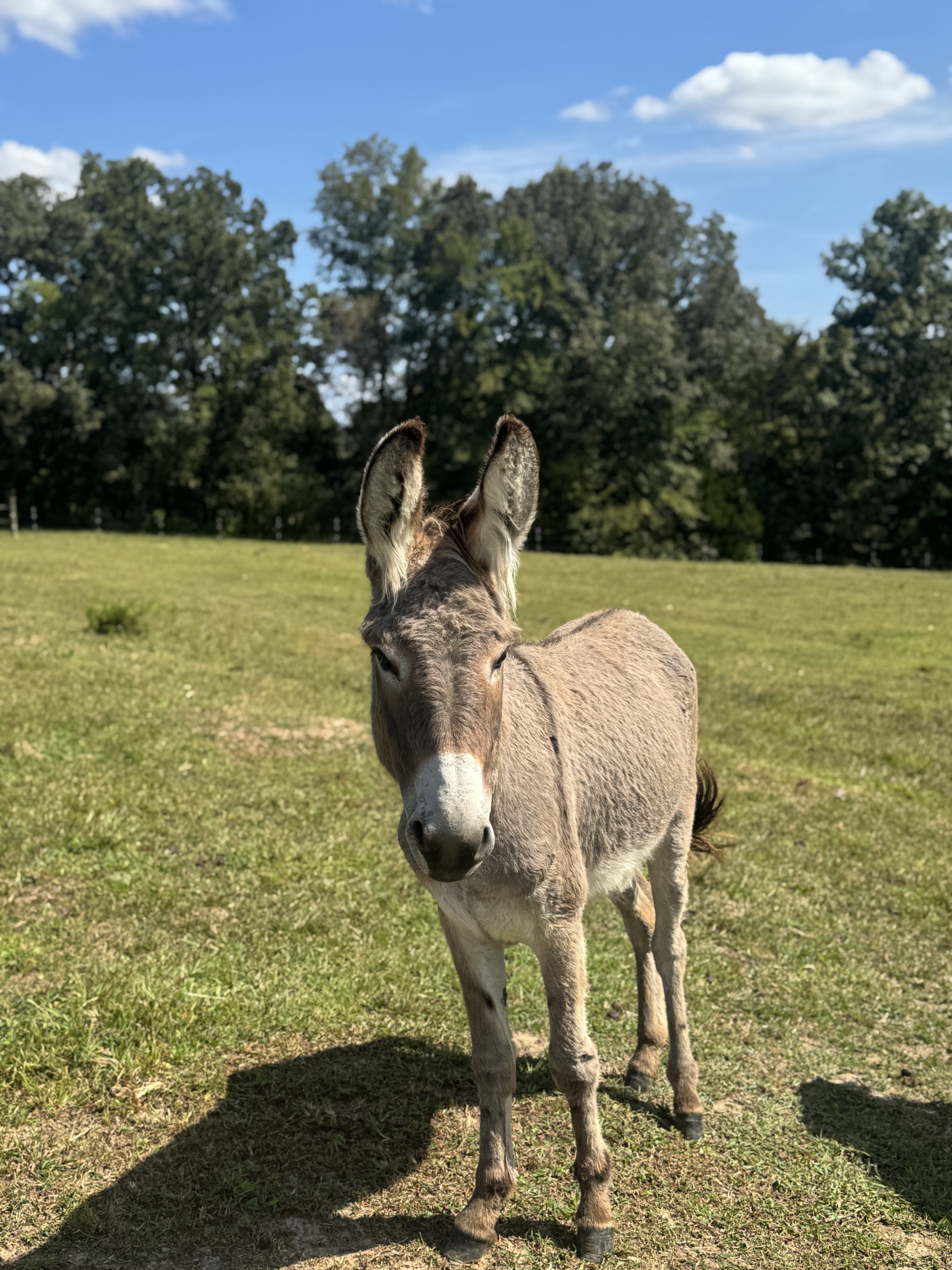 Photo of Jet