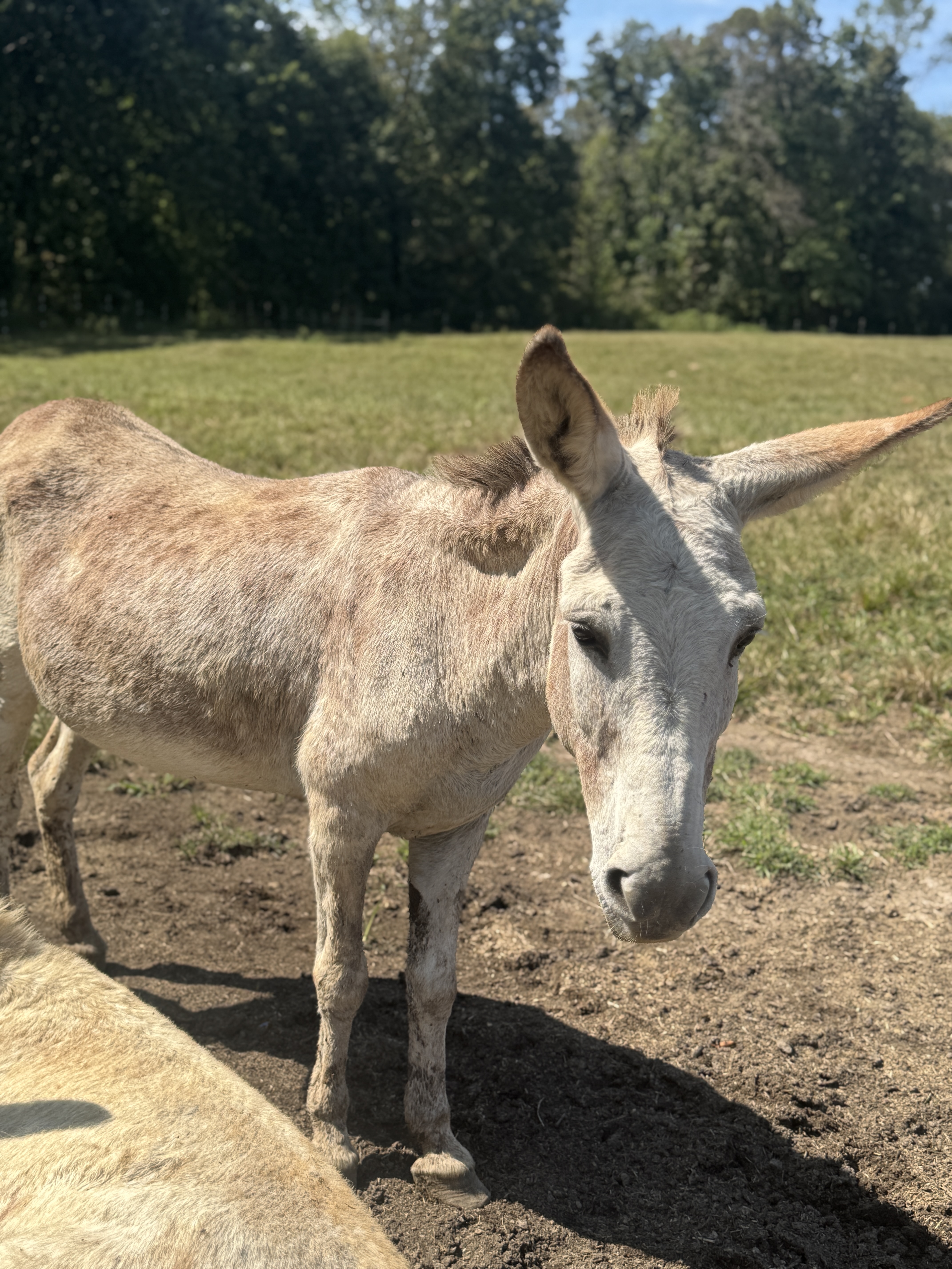 Photo of Janice