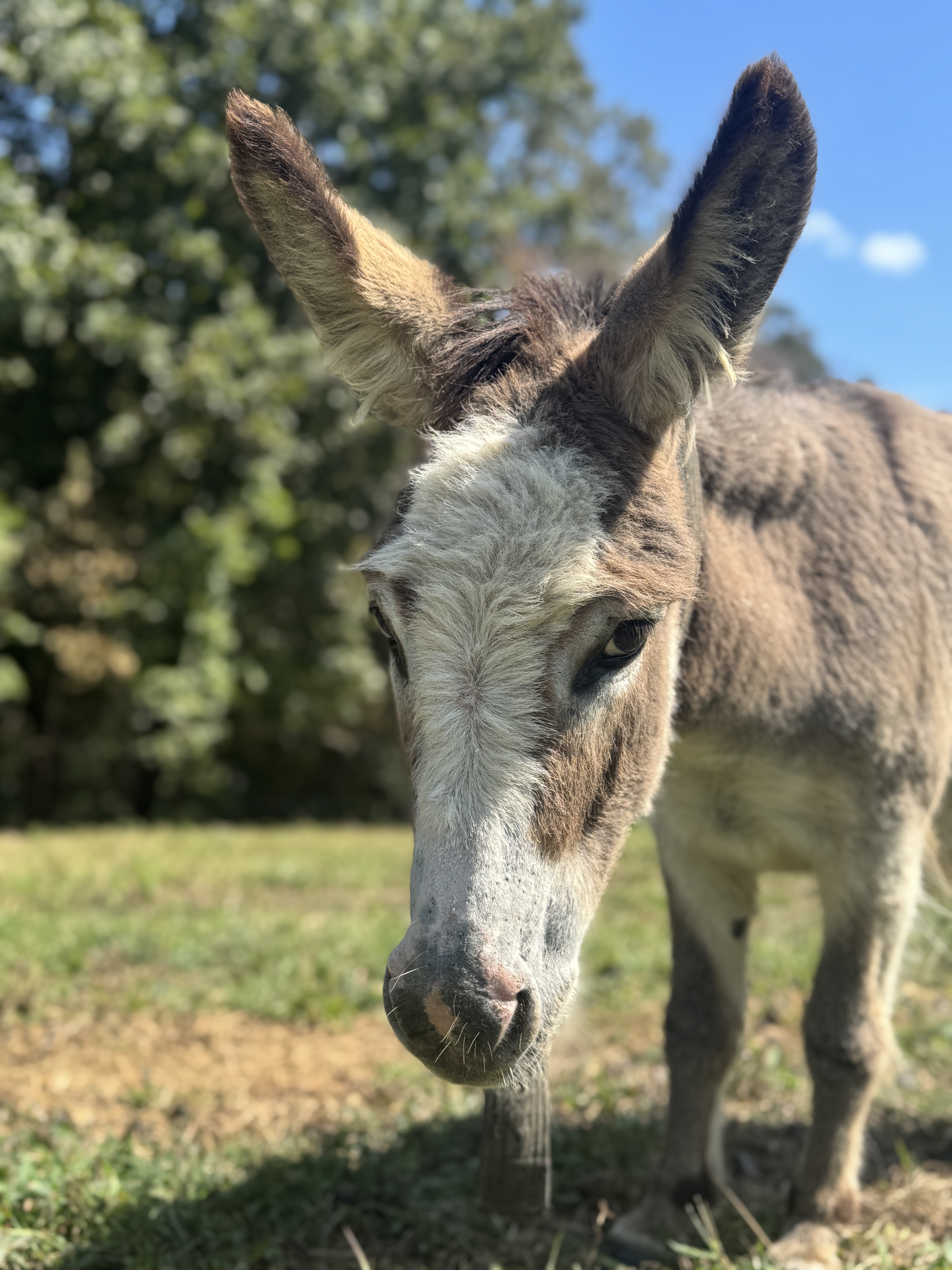 Photo of Lizzie
