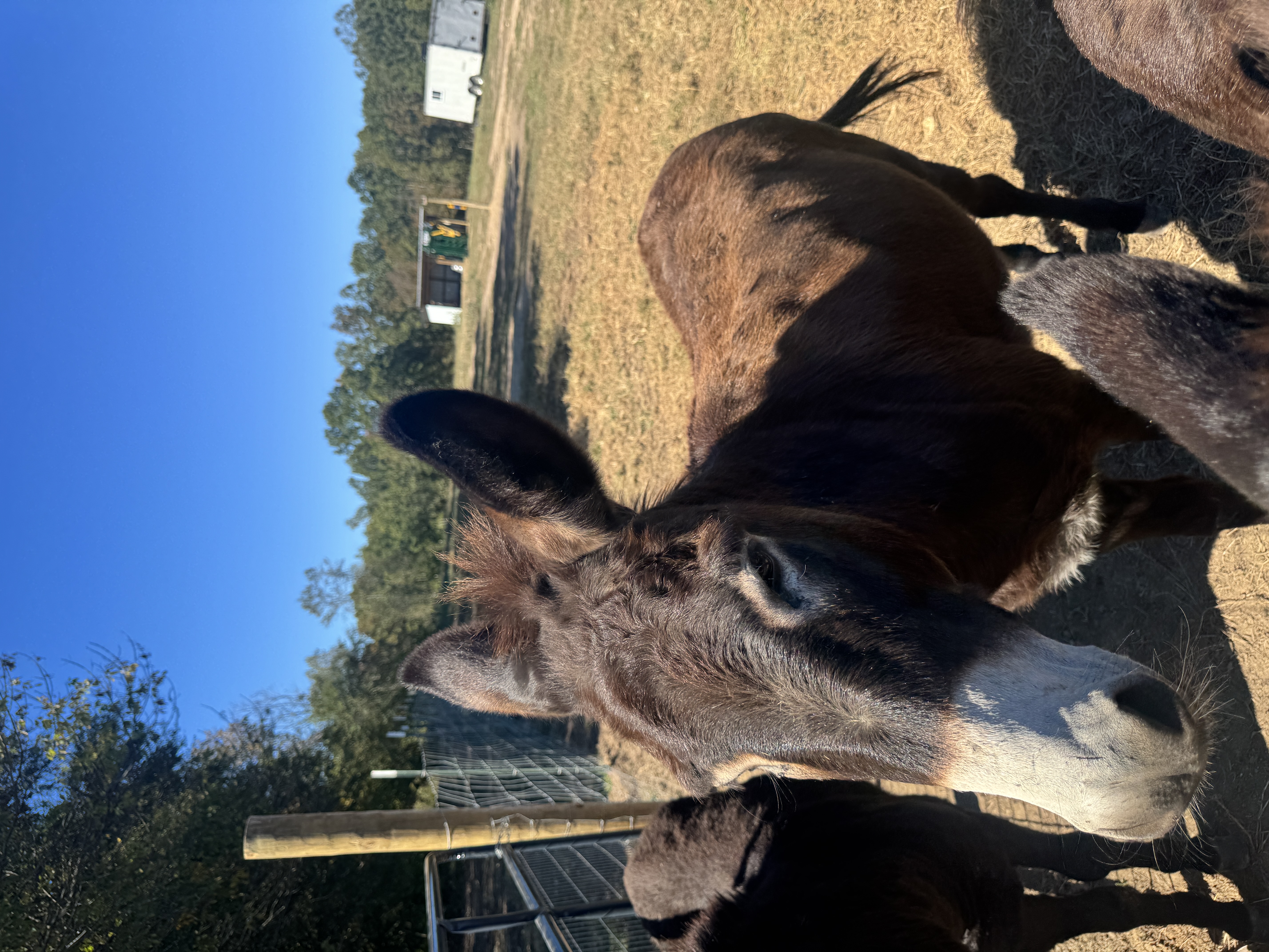 Photo of Male From GA