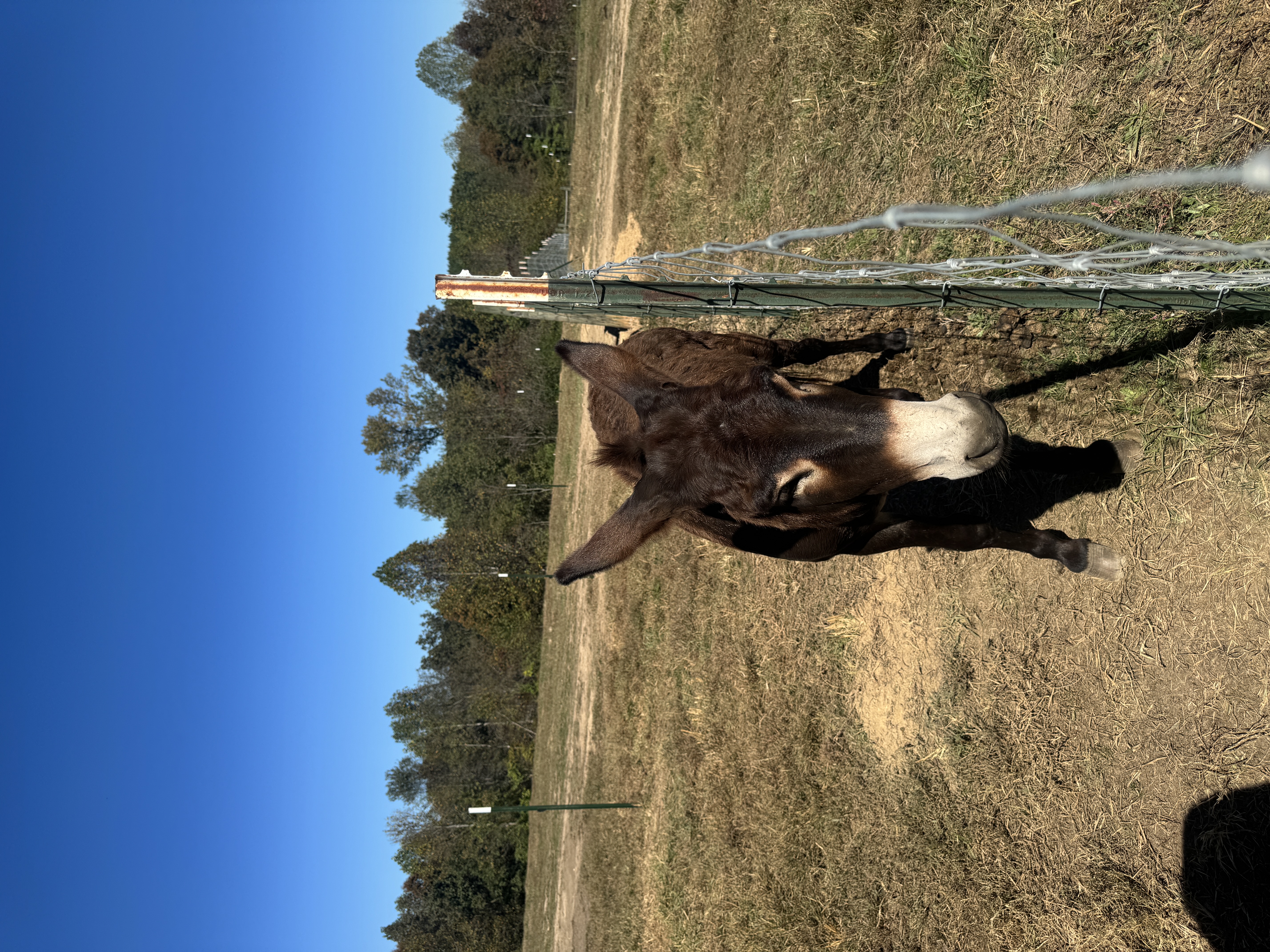 Photo of Male from GA