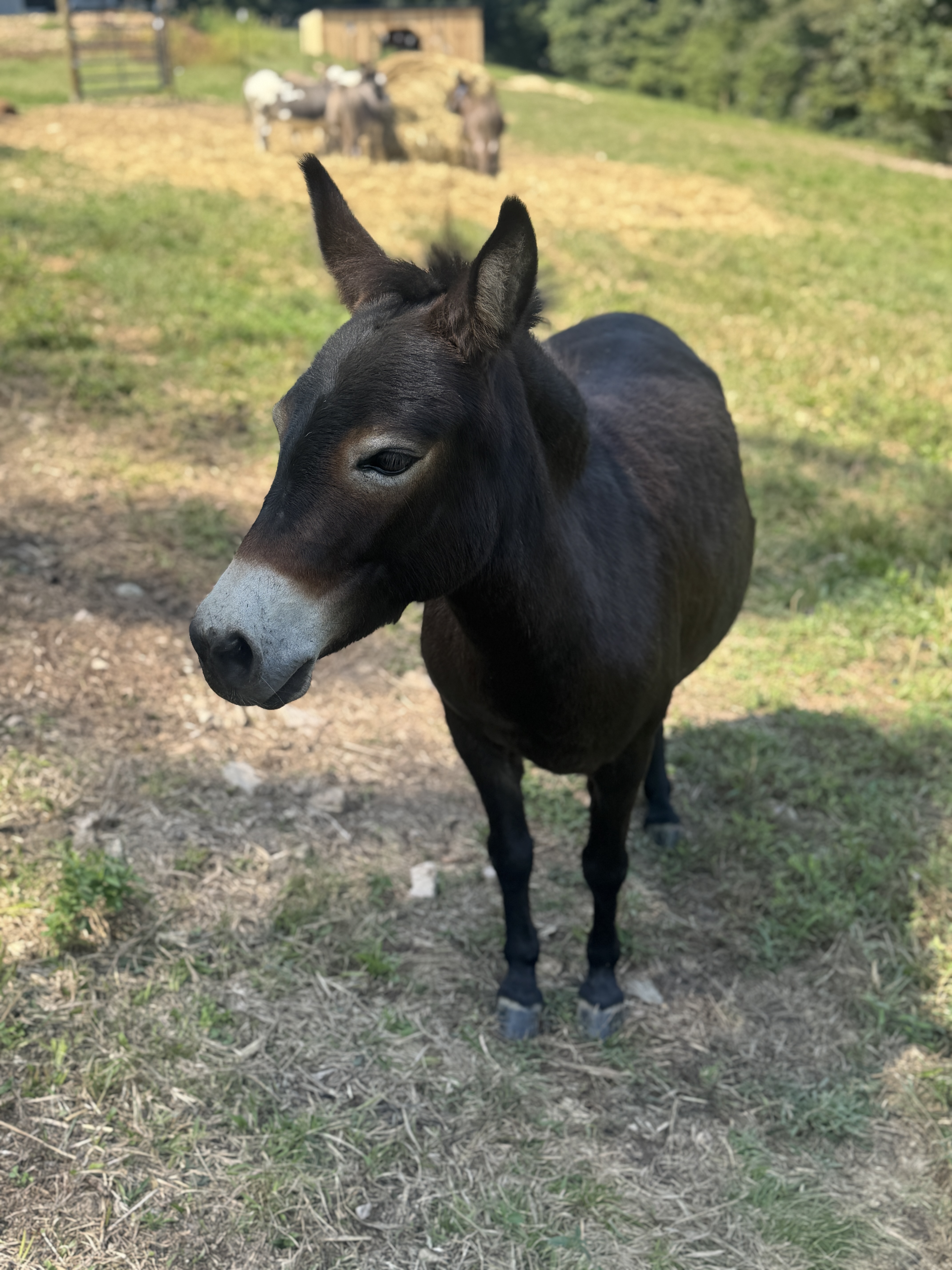 Photo of Winnie